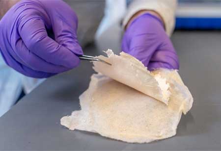 Innovations in Orthopedics: Meeting the Demands of a Changing Healthcare Environment Innovations in Orthopedics: Meeting the Demands of a Changing Healthcare Environment
